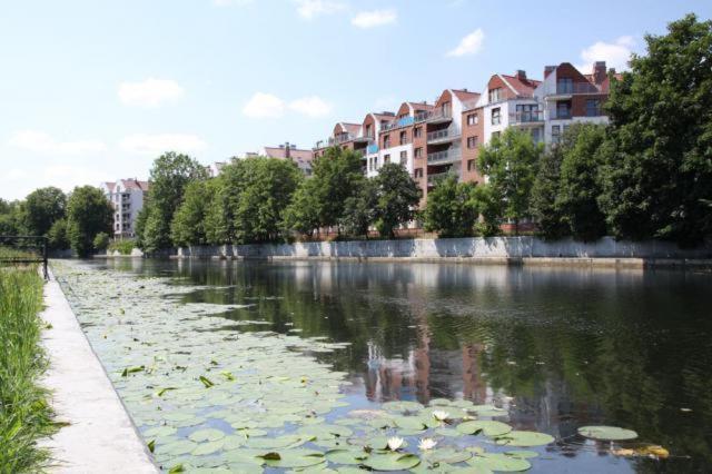 Apartament Bello - Free Parking Lägenhet Gdańsk Exteriör bild